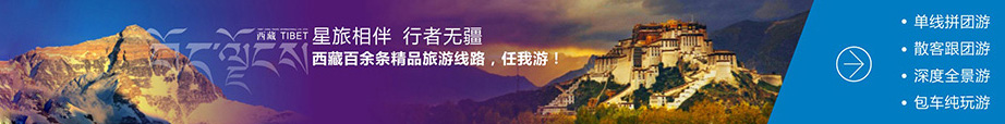 西藏旅游分类专题图