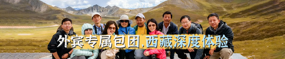西藏旅游分类专题图