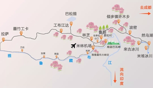 2018年林芝桃花节观赏攻略(附:开幕时间、详细节目、赏花路线)