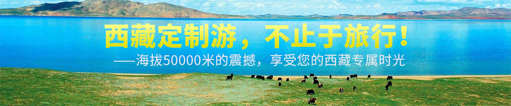 西藏旅游分类专题图