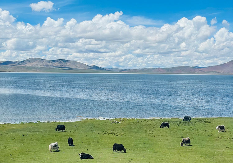 【西宁火车进藏】西宁青海湖+茶卡盐湖+拉萨+林芝+雅鲁藏布大峡谷+羊湖+日喀则+珠穆朗玛峰+班戈色林措+纳木错14日游