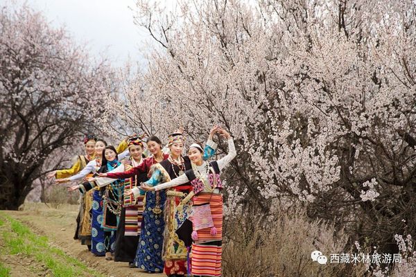 2017年西藏旅游累计接待游客2560多万人次